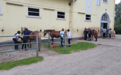 Reitabzeichen für RICARDA!s Reiter