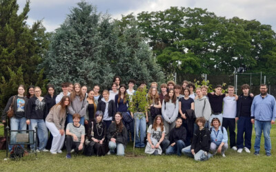 Eine spannende Woche in Polen – Schülerinnenbericht zum Austausch mit unserer Partnerschule in Posen